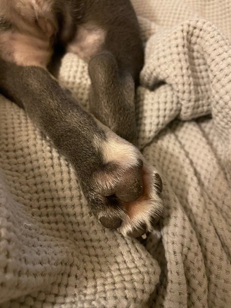 Stepford wife ヌードのポルノスター 画像