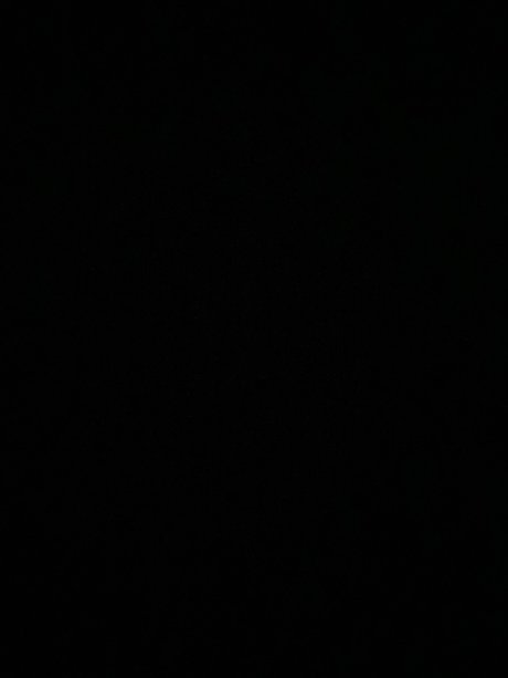 _Bunnie エロティックなスター 画像