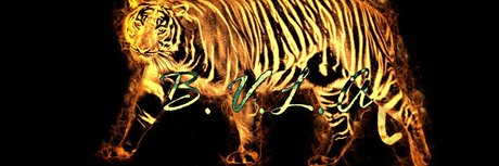 DaDaddy ヌードスター 写真