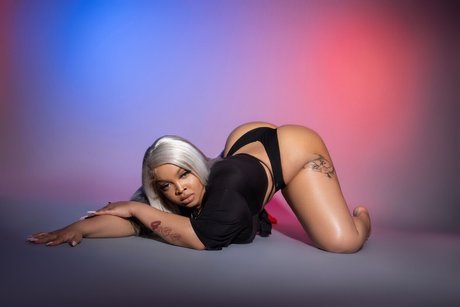 Honey s Hideout_ 完璧なスター 写真