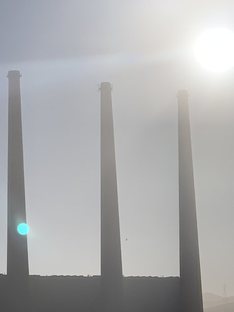 Raul Pacheco ポルノスター トップ 写真