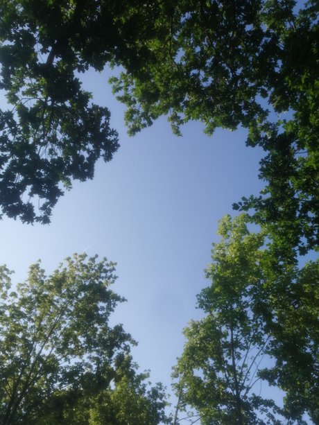 太めのブロンドオンリーファンズ エロ ギャラリー