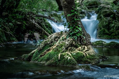 RedRhino ポルノ女優 写真
