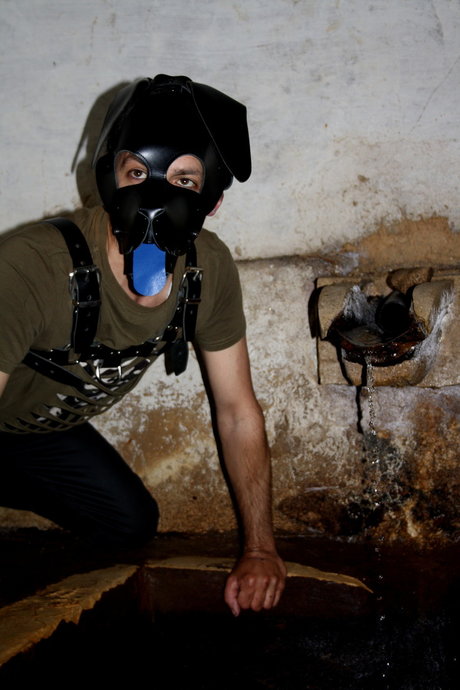 pup Regaleiro ヌードモデル 画像