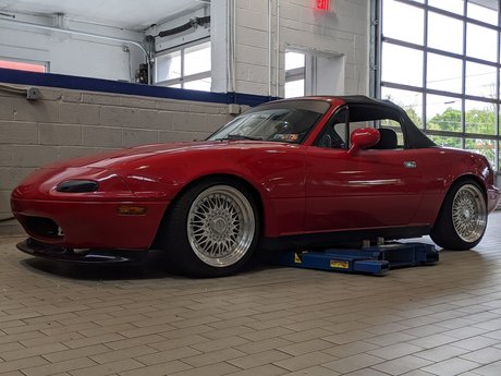 REDDOTMIATA ポルノスター 写真