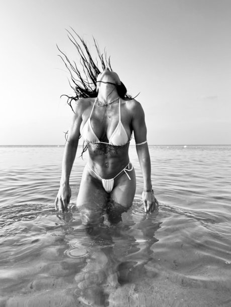 Rebel Rebel HDスター 写真