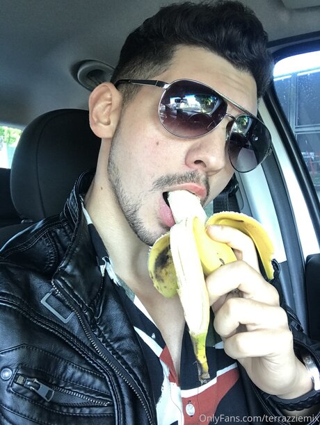 Terra Daddy アートスター 画像