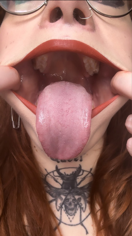 Rosa Limonata 美しいスター 写真