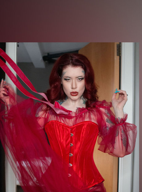 Roo Raphaelite HDモデル 写真