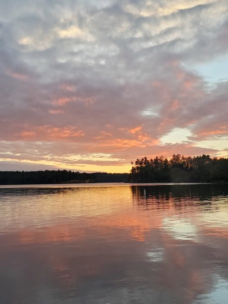 ROCKHARDCOCK2327 エロティックなモデル 画像