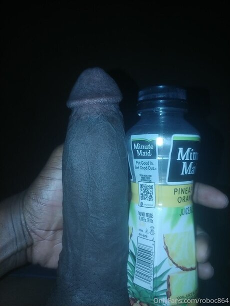 Robo ヌード女優 写真