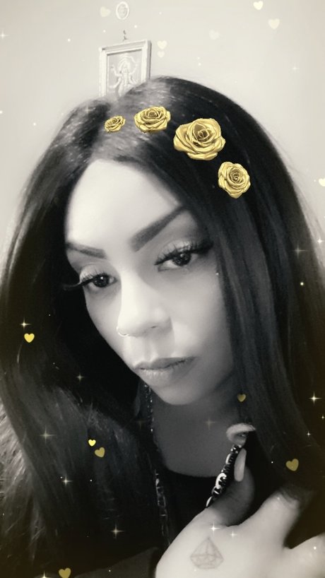 u10089331 トップスター アーカイブ