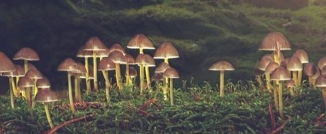 _rue_ スター xxx ギャラリー