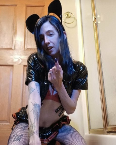 Slaughtrkitten 最高のスター 画像