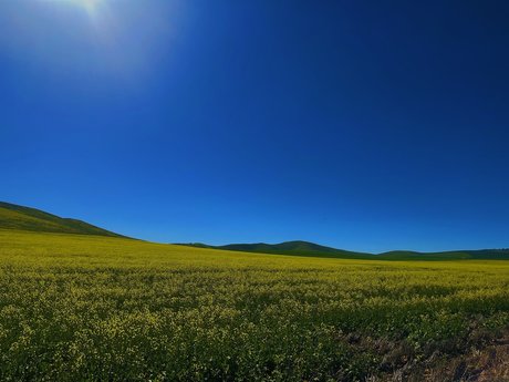 Sage Kingsley 高品質スター 写真