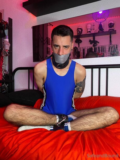 黒檀の猫オンリーファンズ ホット 写真