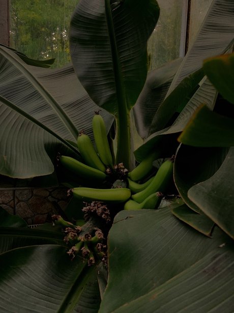 薬剤師OnlyFans セックス 写真