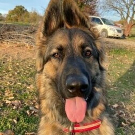 曲線美の女の子オンリーファンズ セクシー 写真