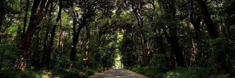 ルビーオンリーファン ホットヌード 写真