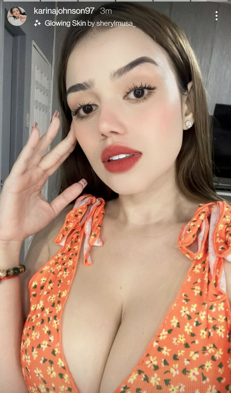 Karina Johnson 美しいポルノスター 写真