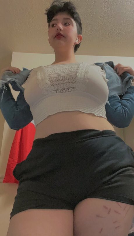 softprince 無料のスター アーカイブ