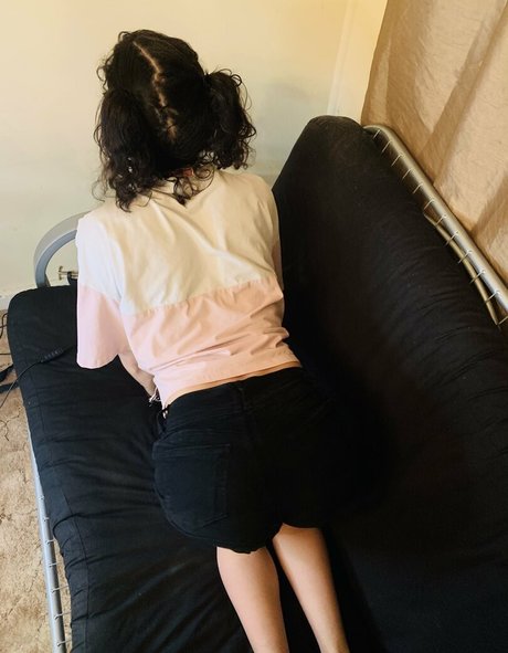 SheepIRL ポルノスター アート 写真