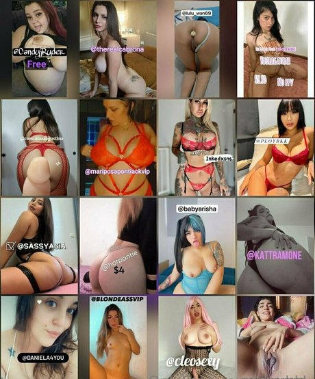 ブラジルの猫オンリーファンズ ホットポルノ 画像