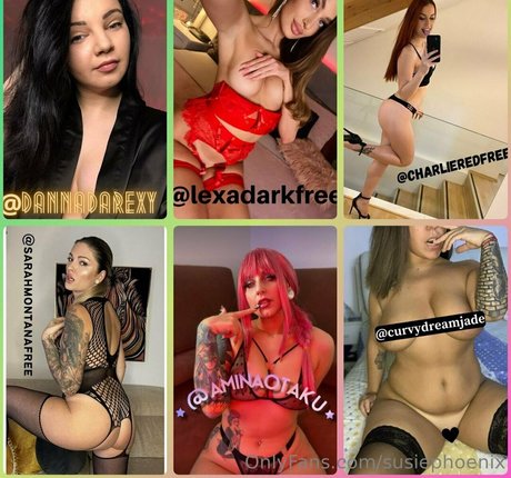 susiephoenix 美しいスター 画像