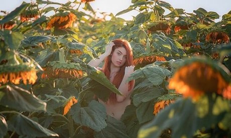 ジンジャートゥインクオンリーファンズ ポルノ 写真