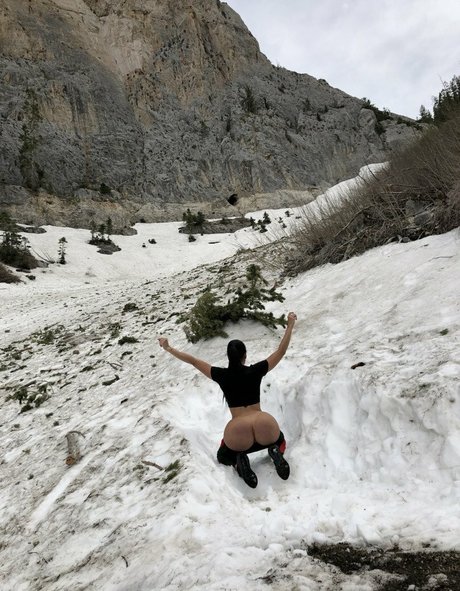 Diamond Kitty HDスター 写真