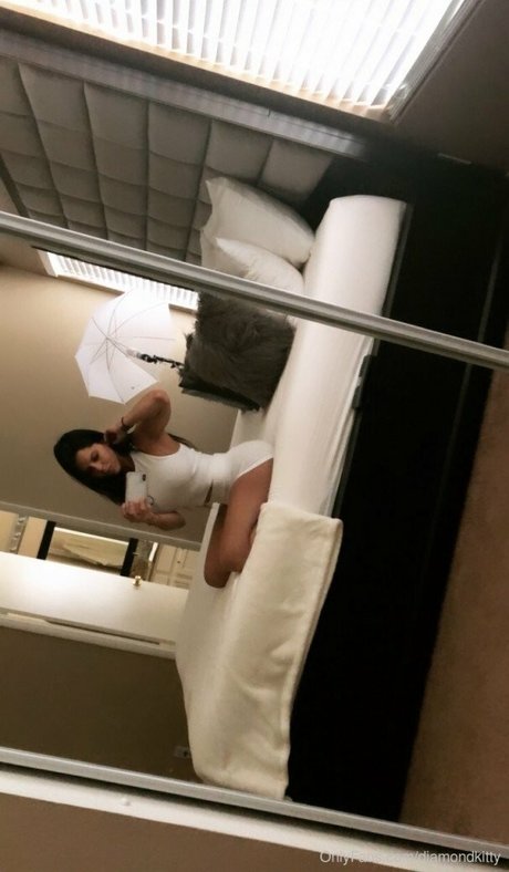 Diamond Kitty 高品質モデル 写真