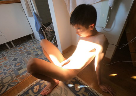 stallion bunny 最高の女優 写真