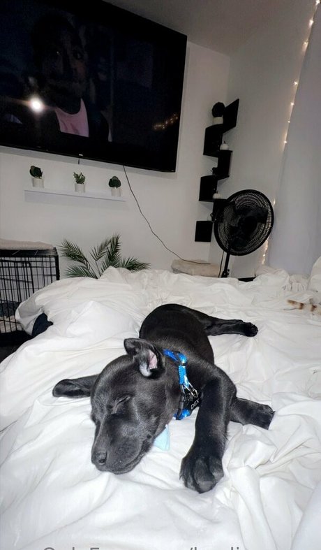 kaylinwrenn Profilbild