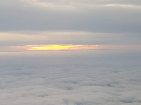 Sarahstfu アートモデル 画像