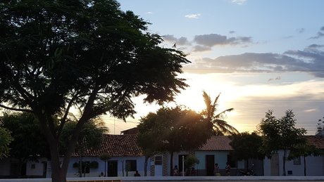 大きな黒い猫OnlyFans セクシーxxx 写真