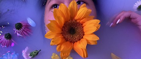 Alona Bloom ホットなスター 画像