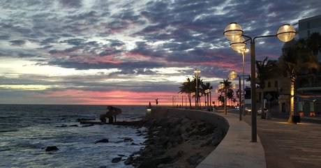 Darthmilo ポルノスター 素敵 画像