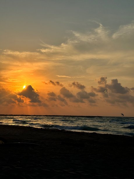 Sexy girl packs_ ヌードスター ギャラリー