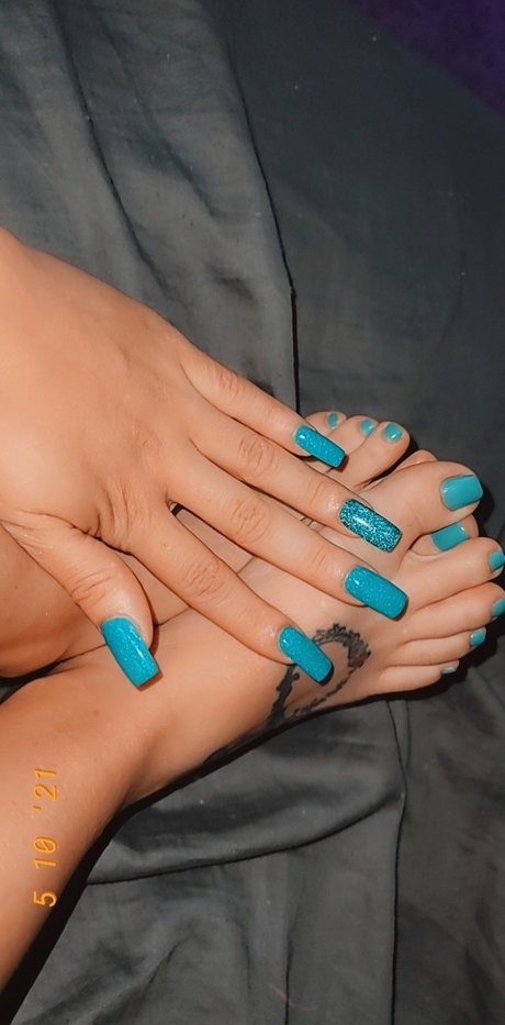 Rosa Queen 完璧なスター 写真