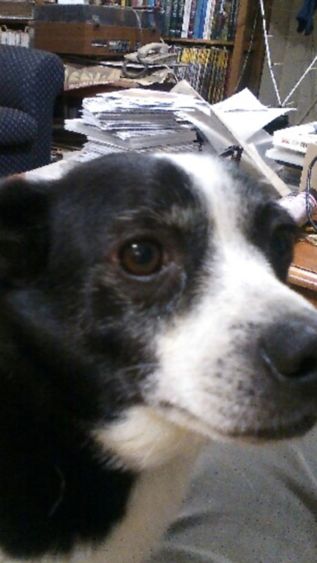 巨根アナルOnlyFans ホットヌード 写真