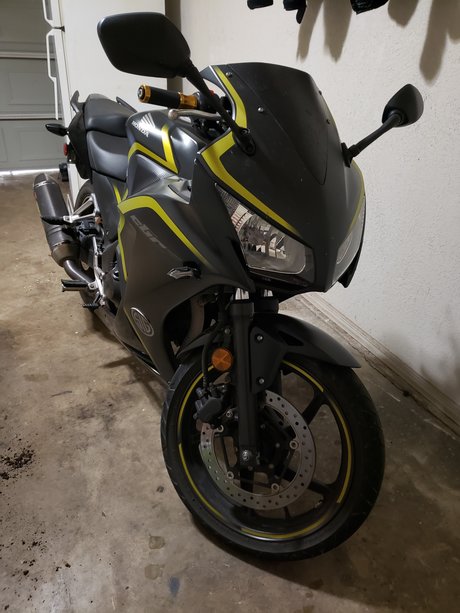 The Lady Black 無料のスター 画像