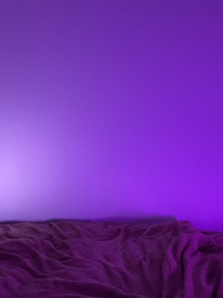 TheLittlePrince 完璧なモデル 画像