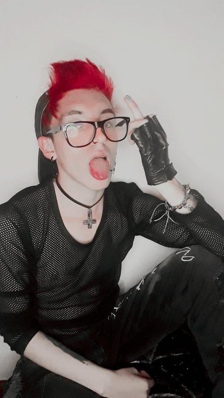 Tato スター 写真