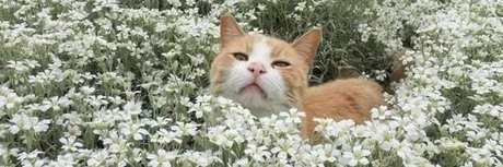 Xochitl_ 裸モデル 写真