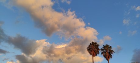 Teddy Velazquez ポルノスター トップ 画像