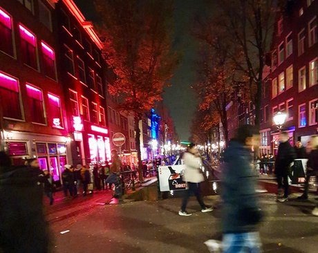 ブッシュ・オンリーファンズ ホットセックス 写真