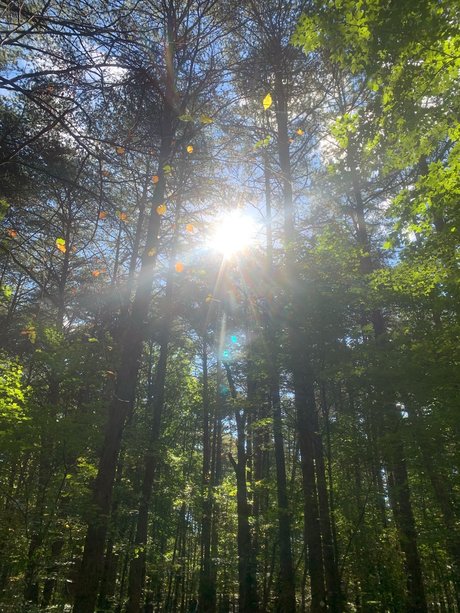 Marc Harrington 美しい女優 画像