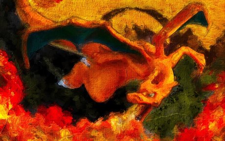 巨大なチンポを持つシーメールオンリーファンズ 裸 画像