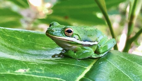 大きな乳首オンリーファンズ ホットxxx 写真