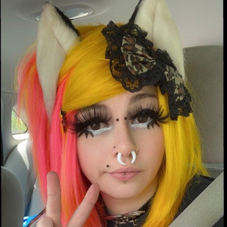 Meowlex xxx女優 写真